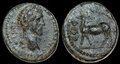 Ionia-Ephesus. Antoninus-Pius. AD-138-161.-Æ-19mm-4.37-g.-Stag