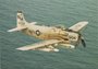 DOUGLAS A-1H Skyraider_7