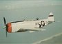 REPUBLIC P-47D Thunderbolt_7