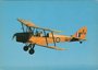 TIGER MOTH_7