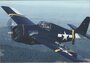 FM2 WILDCAT_7