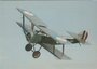 SOPWITH PUP_7