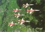 PATROUILLE SUISSE F-5E Tiger_7