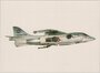 HAWKER Siddeley Kestrel_7