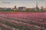 LISSE - Tulpenvelden_7